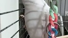 verypassionateaboutpinkpanthercockatielbirdfyppets_1757841871911