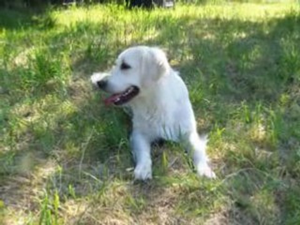 Petits jeux entre amis