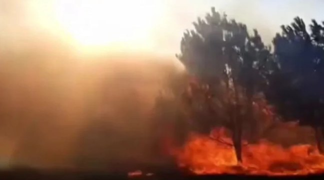 Bursa'da ekipleri harekete geçiren orman yangını