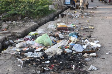सडक़ें और आवासीय मार्ग बने कचरे के डिपो, सीवरेज लीकेज से बेहाल नागौर