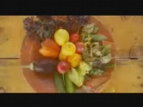 Learn Yoga at Samudra Yoga Retreats