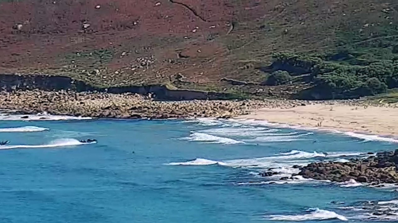 Webcam footage of the Border Force cutter chasing drug gang across the sea - NCA