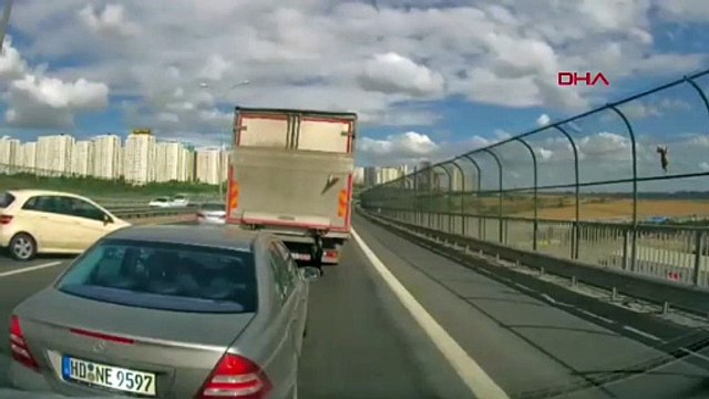 Emniyet şeridinde korku dolu anlar! Kediyi kurtarmak isterken canından oluyordu