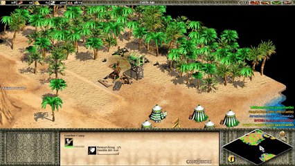 Age Of Empires 2 (Original) - Saladin | The Horns of Hattin Gameplay & Strategy