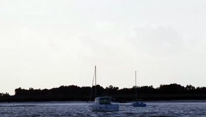 Sortie bateau avec la LPO le 150925