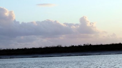 Sortie bateau avec la LPO le 150925