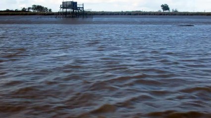 Sortie bateau avec la LPO le 150925