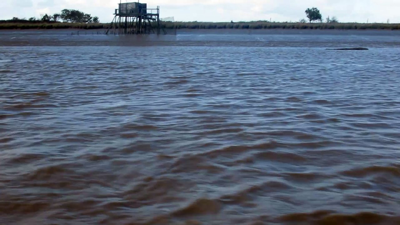 Sortie bateau avec la LPO le 150925