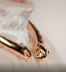 مجوهرات Panthère de Cartier خيار السيدة التي تتقن العيش بأناقة