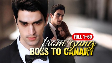 Sugar Mommy Plan From Gang Boss To Canary