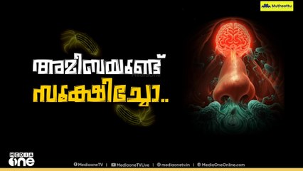 അമീബിക് മസ്തിഷ്ക ജ്വരം; പ്രതിരോധ പ്രവർത്തനങ്ങൾ ഊർജിതമാക്കി ആരോഗ്യ-തദ്ദേശ വകുപ്പുകൾ