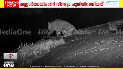 മണ്ണാർമലയിൽ വീണ്ടും പുലിയിറങ്ങി; ദൃശ്യങ്ങൾ സിസിടിവിയിൽ പതിഞ്ഞു