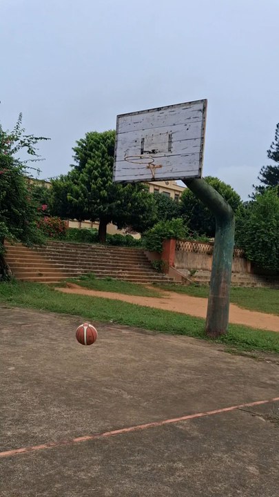 🏀 basketball