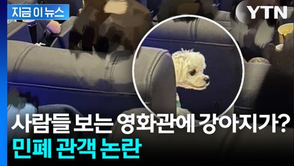 ‘강아지 무릎에 올리고 영화 관람’... 당당한 태도에 누리꾼 ‘당황’ [지금이뉴스] / YTN