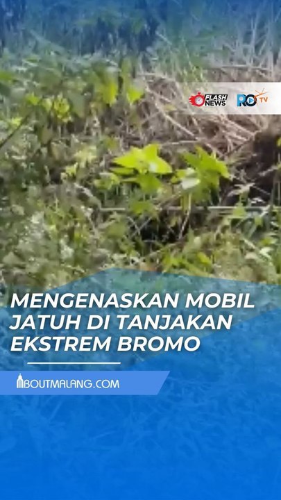 MOBIL TERJUN KE JURANG DI TANJAKAN WEDIRENG BROMO
