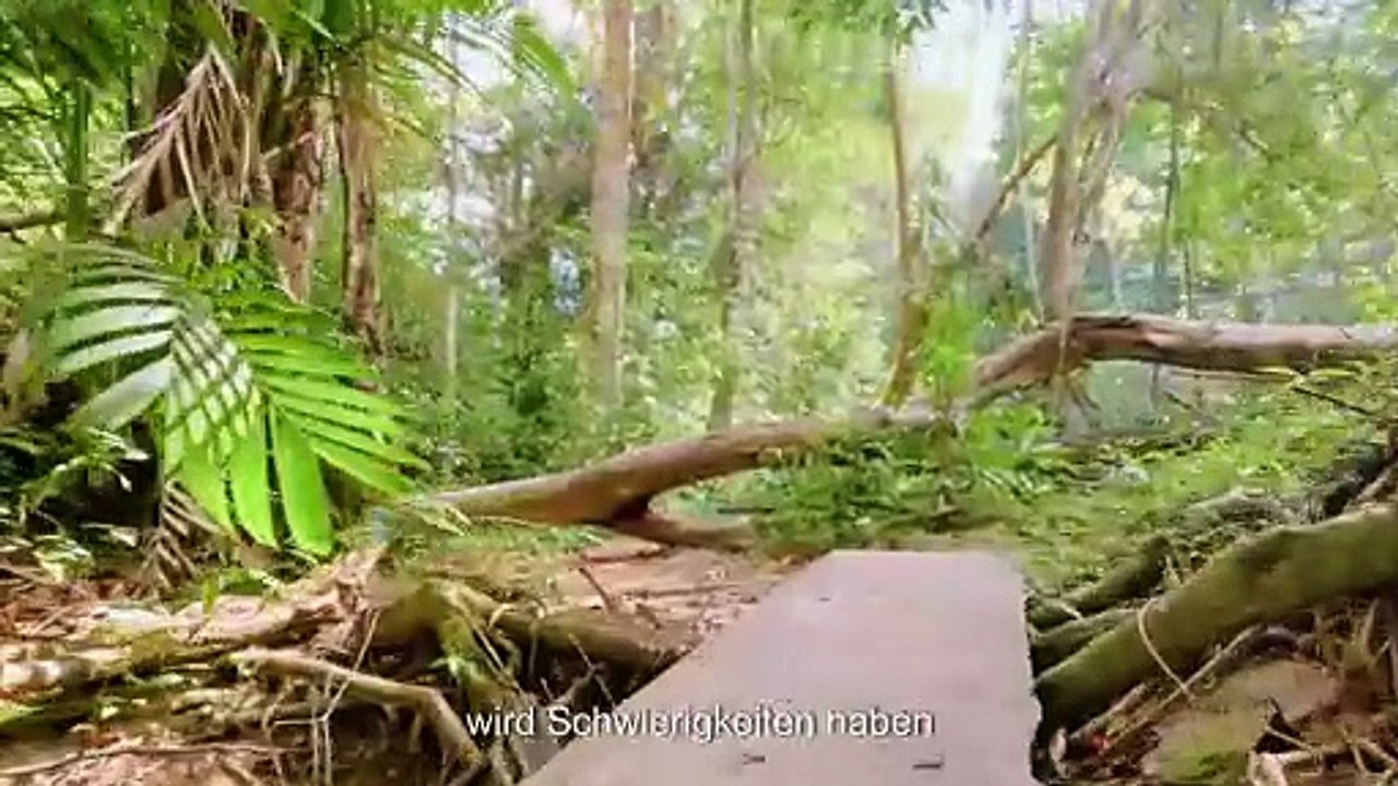 Du bleibst für IMMER unglücklich, bis du das über deine Kindheit verstehst - Carl Jung