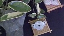 玉珠璧 D5 三星堆珍寶 玉而富