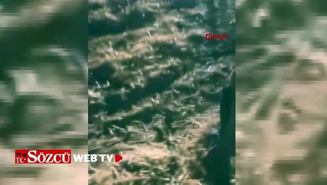 Batman'da hafif ticari araca silahlı saldırı: Anne, baba ve 2 çocuğu öldü