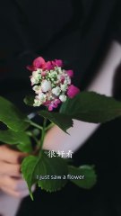 She healed the lame manhes a powerful tycoon! Married her on spot, enemies begged on knees!