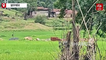 हजारीबाग में एक करोड़ के इनामी सहित तीन नक्सलियों का एनकाउंटर, मारा गया सहदेव सोरेन