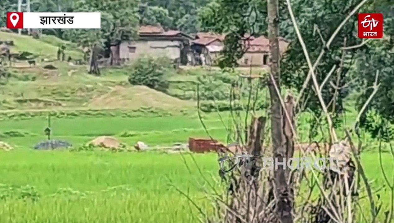 हजारीबाग में एक करोड़ के इनामी सहित तीन नक्सलियों का एनकाउंटर, मारा गया सहदेव सोरेन
