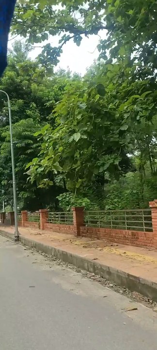Nepal 😎