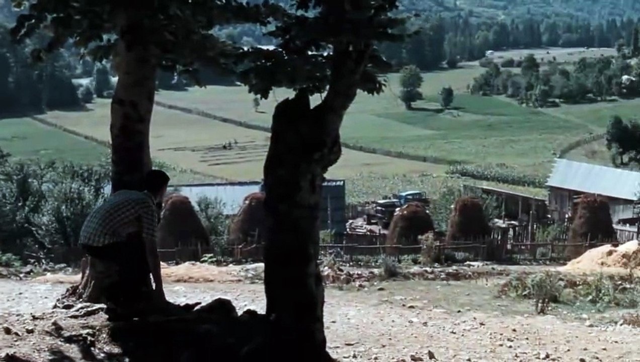 Der Albaner | movie | 2010 | Official Trailer