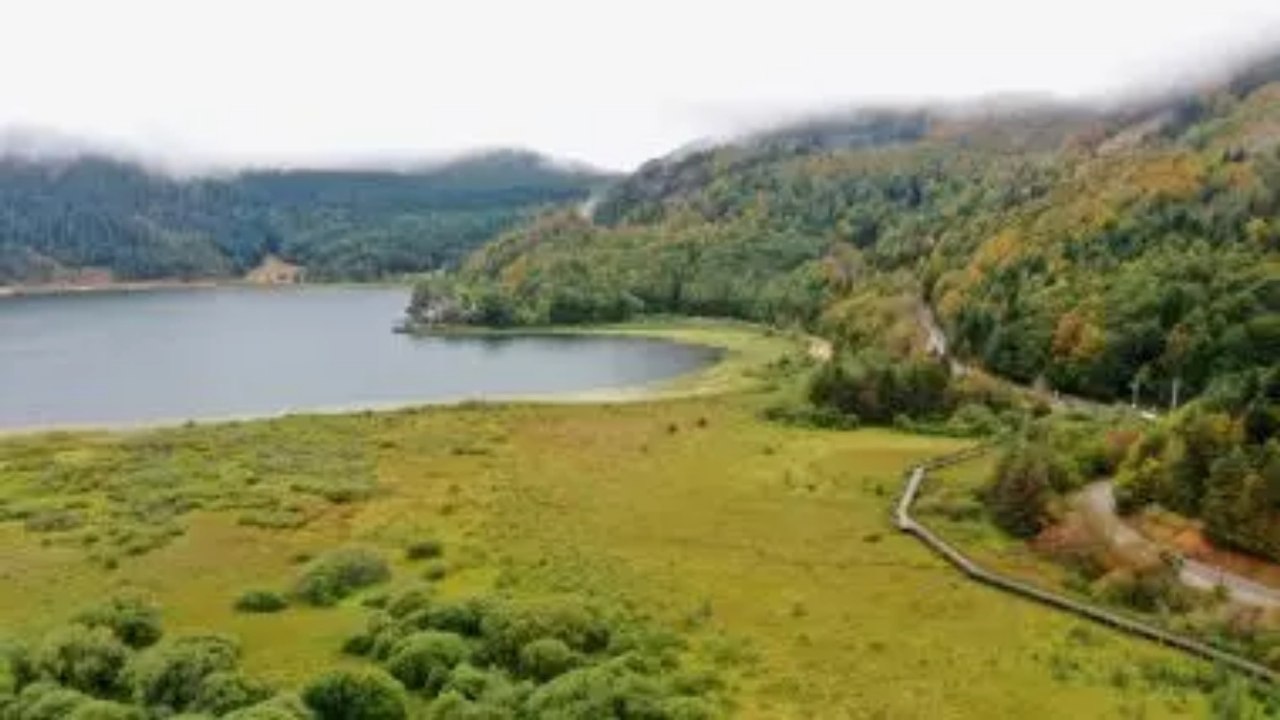 Abant’ta hazan mevsimi! Gölün etrafında renklerini gösterdi