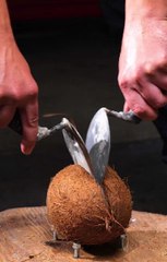 Why Throw It Out? Turn Your Coconut into Something Awesome!