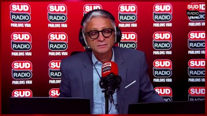 Des harpes électriques : la nouvelle arme des apiculteurs, contre les frelons asiatiques