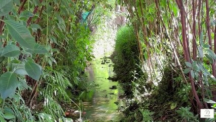 The River That Never Rushed Lessons in Patience 🌊✨