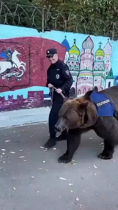 🇷🇺🐻 FLASH INFO | Insolite en Russie : un service de police aurait adopté un ours 🐾 et l’aurait dressé pour patrouiller aux côtés des agents 🚔. Une histoire qui fait le buzz, mais sans confirmation officielle pour l’instant 👀.