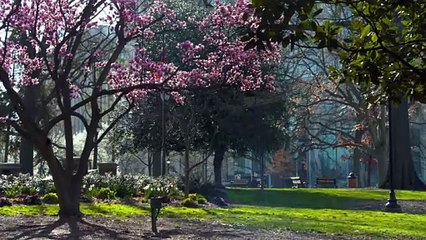 House Hunters - Season 269 Episode 9 - Long Gone from Hong Kong