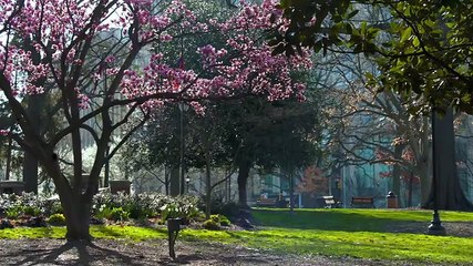 House Hunters S269E09 Long Gone from Hong Kong