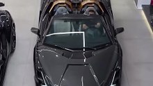 Lamborghini Sian Roadster