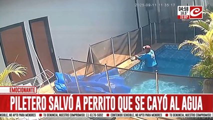 Perrito ciego cayó al agua y estuvo nadando por más de 40 minutos