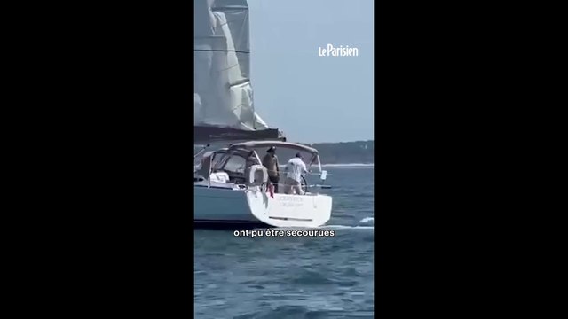 Un voilier coule après une attaque d'orques au Portugal