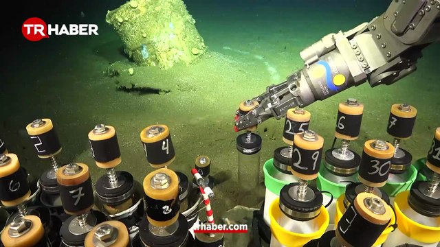 27 bin fıçı ve bir büyük sır: Okyanus neden beyaza büründü?