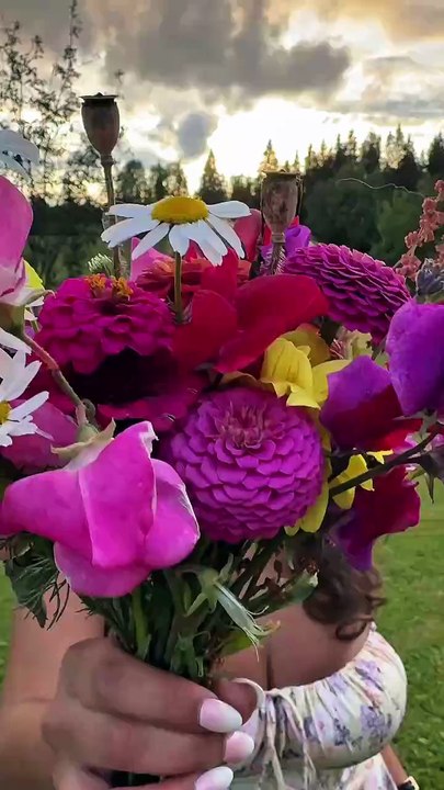 Qui aurait cru que derrière les murs du Tertti Manor, on trouverait une rose qui raconte une histoire ? 🌹✨