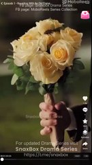 A Blind Date With My Mr Meant To Be