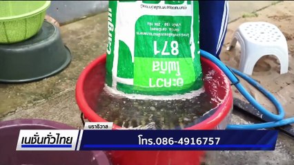 เมนูซิกเนเจอร์  กาละแมโบราณปั่นชาไทย | เนชั่นทั่วไทย | 15 ก.ย. 68 | PART 3