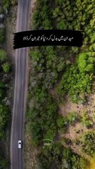 How desert are turing into Greenland