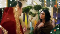 Sultan Salahuddin Ayyubi Season 2 Episode 24 - 12 September 25 - HUM TV - Review