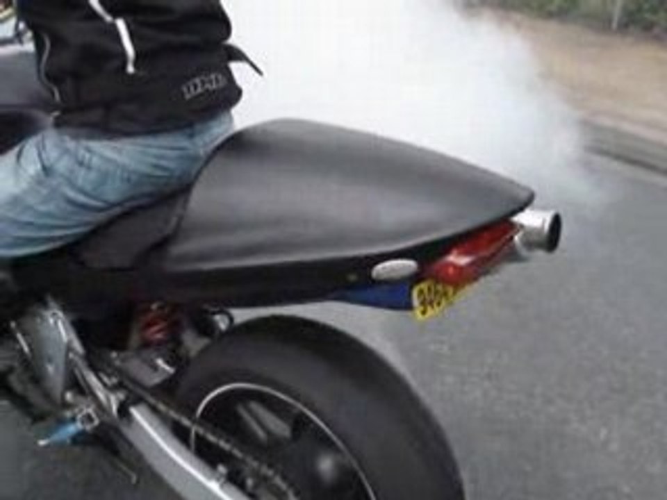 Burn hornet