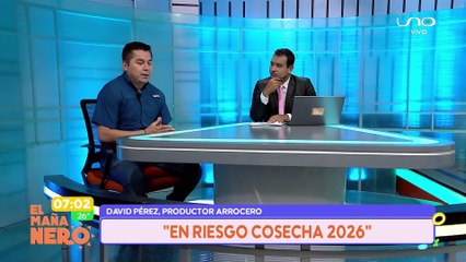 PRODUCCIÓN DE ARROZ EN RIESGO PARA EL 2026, HOY TOMARÁN ACCIONES POR LA FLATA DE DIÉSEL