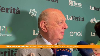 Pichetto "Decreto energia in arrivo se non a giorni, a settimane"