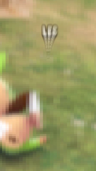 Les nouvelles méga évolutions des starters dans Pokémon Legends ZA 😮