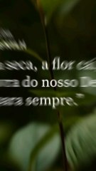 Versículo do dia 15/09/25 #versículo #versículododia #palavradedeus #versículobíblico