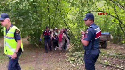 Traktörden düşüp teker ile ağaç arasına sıkışan sürücü öldü!