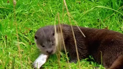 Countryfile - Season 37 Episode 37 - The Archers - Full Movie